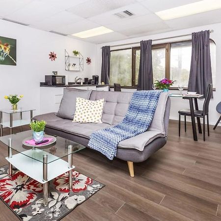 Modern 1Br Condo - Chinatown Near Little Italy Отава Екстериор снимка